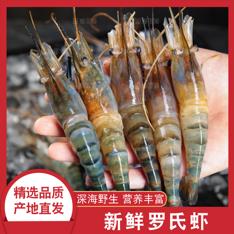 手上捧着罗氏沼虾