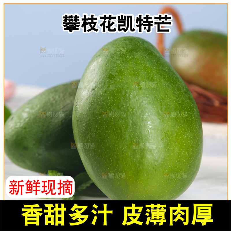 石板底上放着攀枝花凯特芒