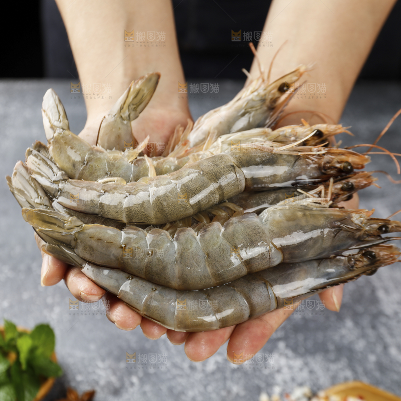 手上捧着新鲜大虾