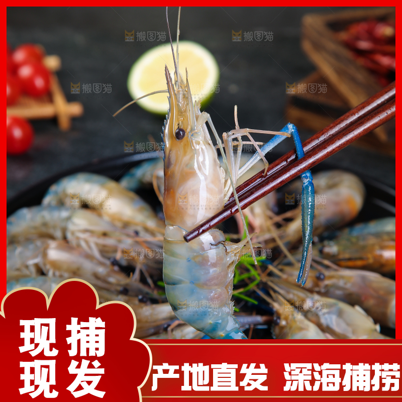 筷子上夹着的大头虾
