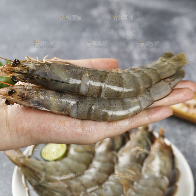 放在手上的大虾