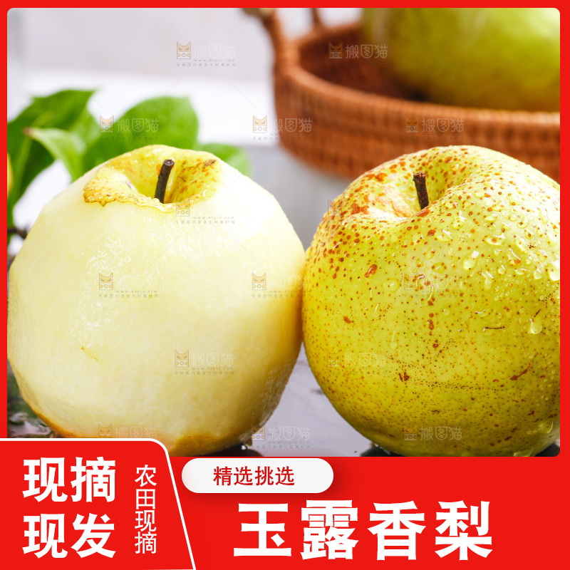 黑底上放着隰县玉露香梨