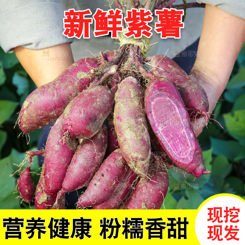 手里拿着一串大紫薯