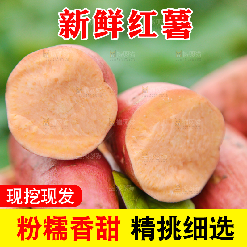 堆放着的新鲜红薯