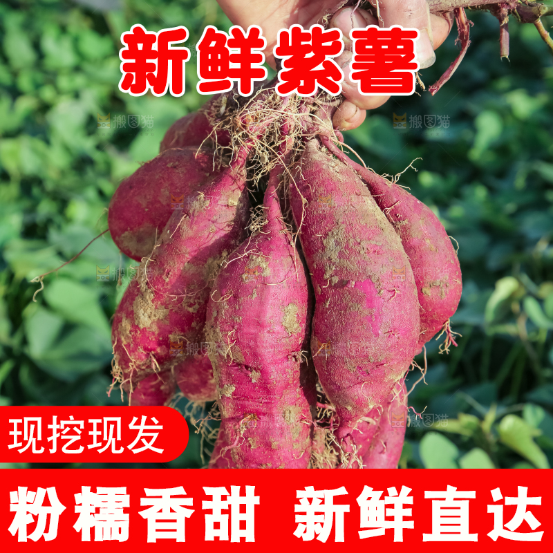 手里拿着一串紫薯
