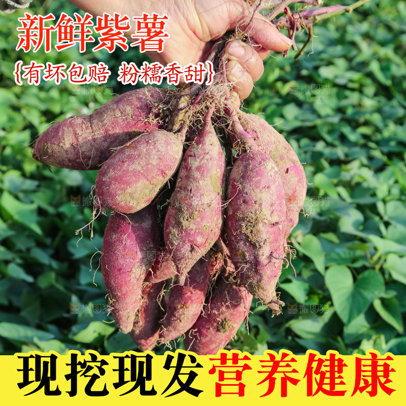 手里拿着一串紫薯