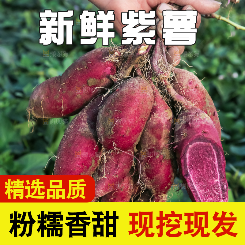 手里拿着一串紫薯