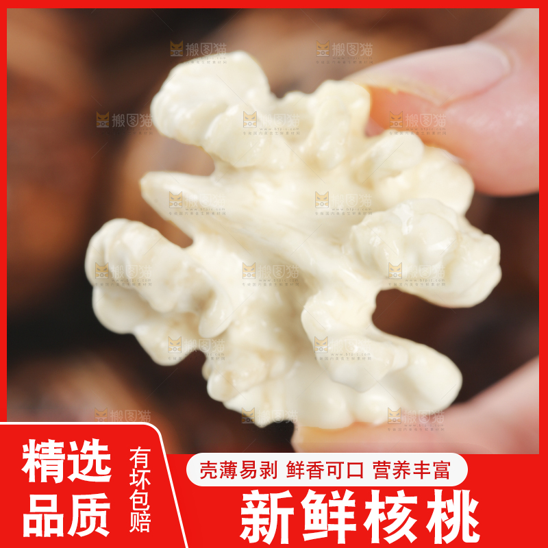 手拿着新鲜核桃肉