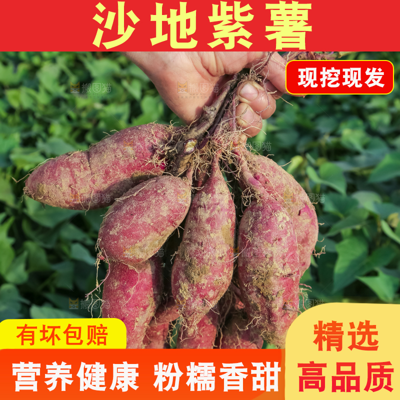 手里拿着一串紫薯