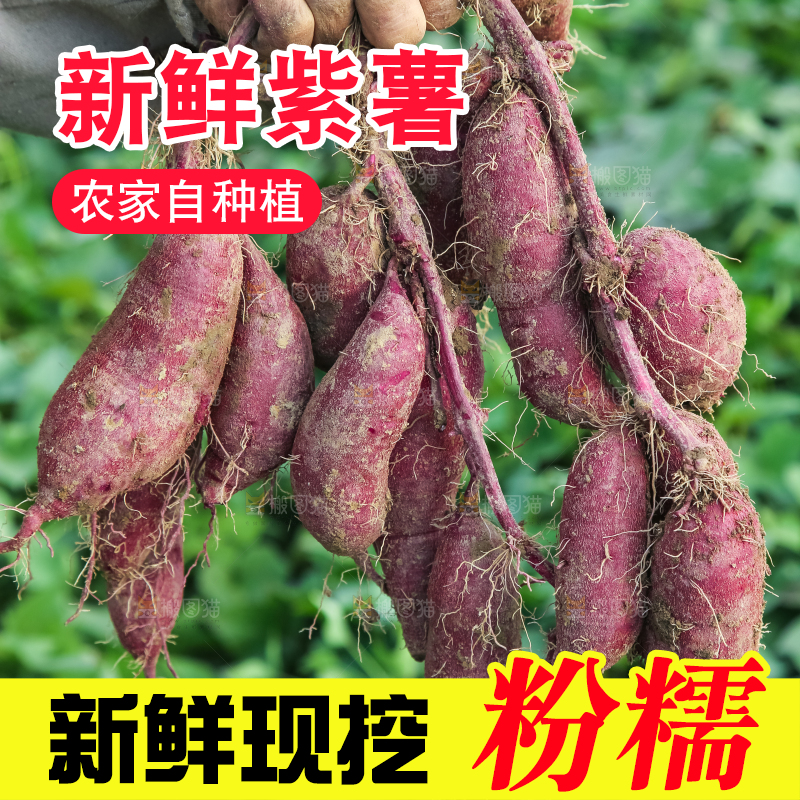 手里拿着一串紫薯