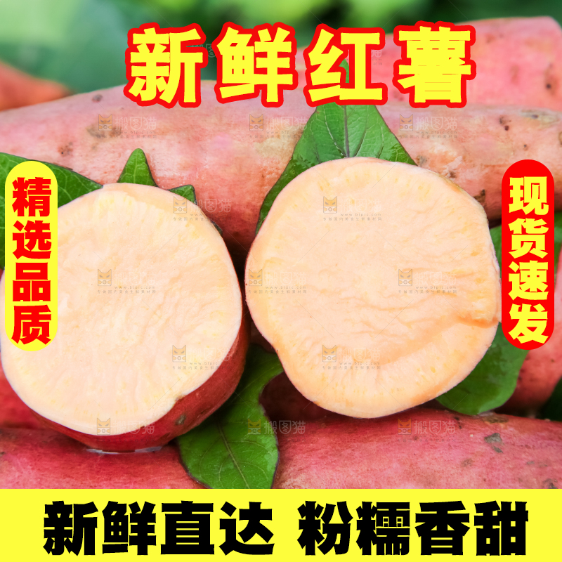 田地里放着切开的黄心红薯