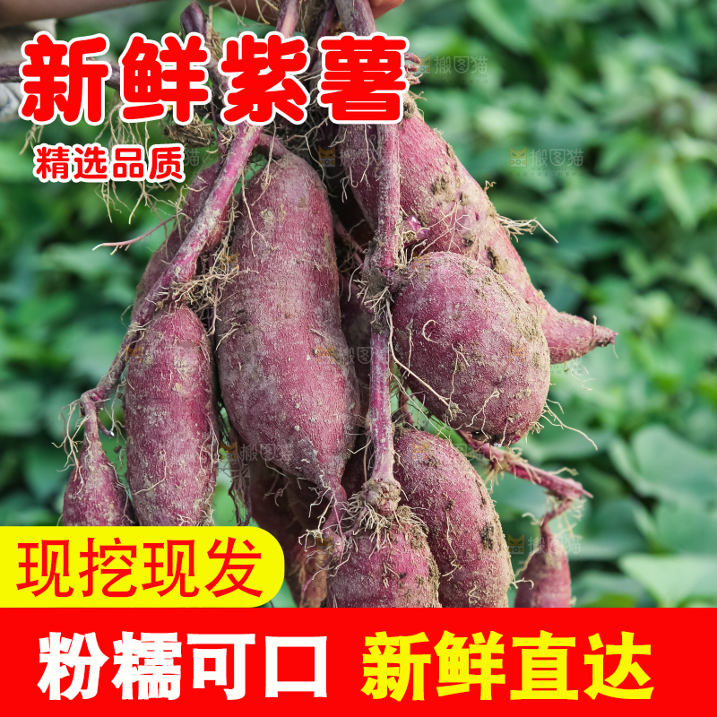 手里拿着一串紫薯