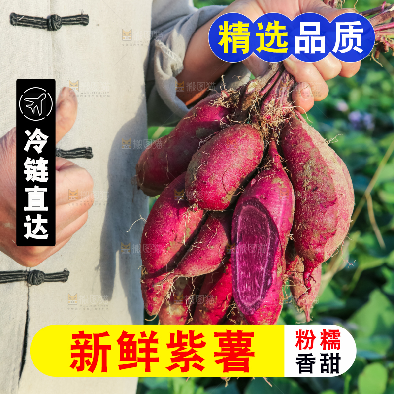 手里拿着一串紫罗兰紫薯
