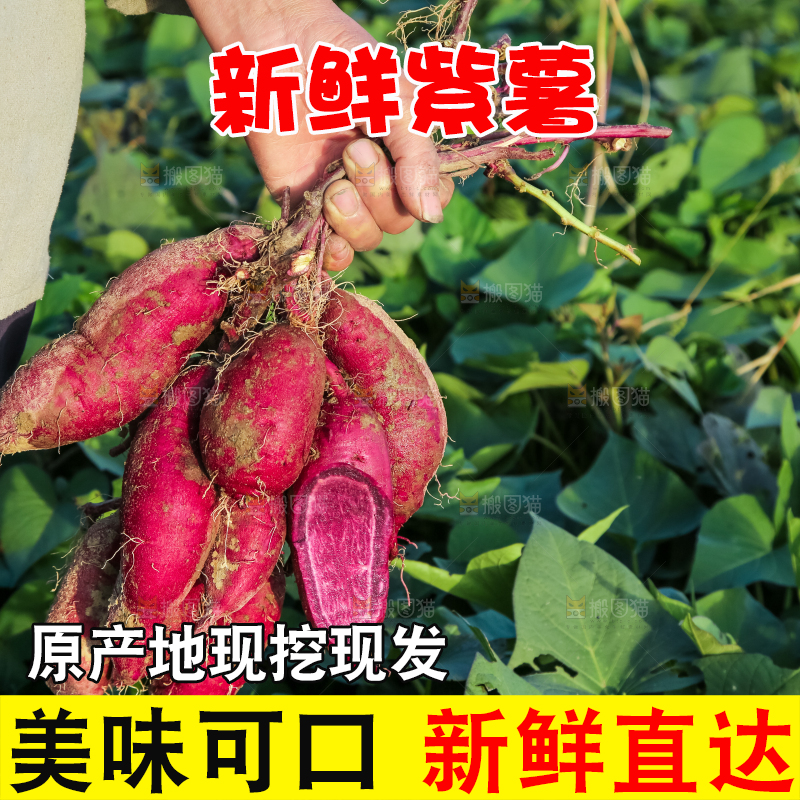 手里拿着一串紫罗兰紫薯