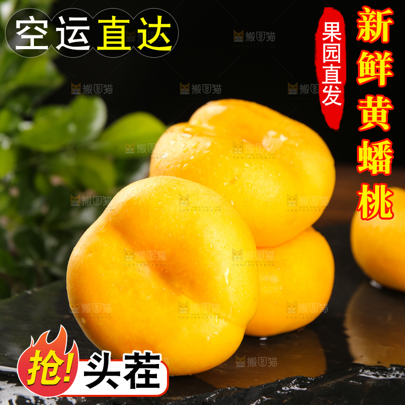 黑石板上的黄蟠桃