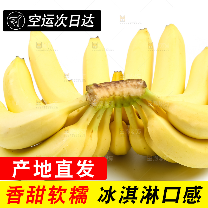白底上放着一串新鲜香蕉