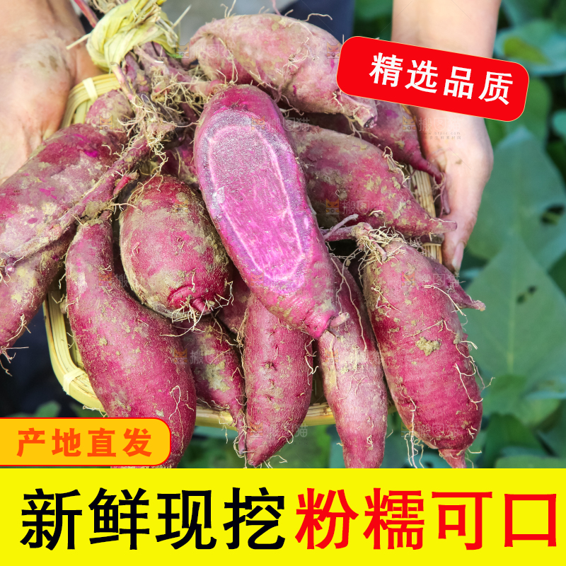 手里拿着一串大紫薯