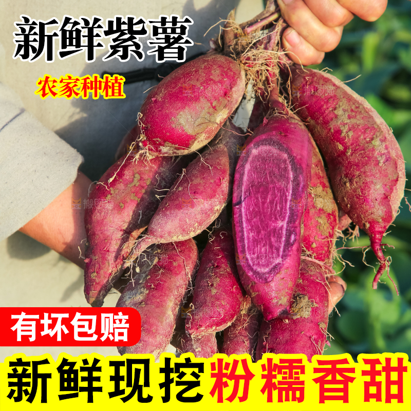 手里拿着一串紫罗兰紫薯