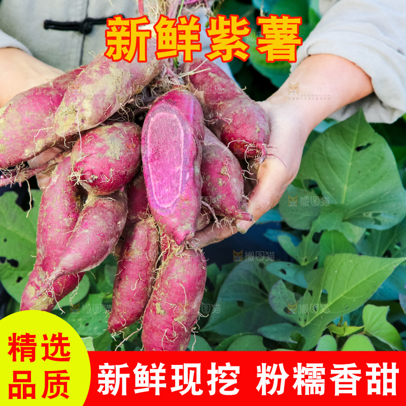 手里拿着一串大紫薯