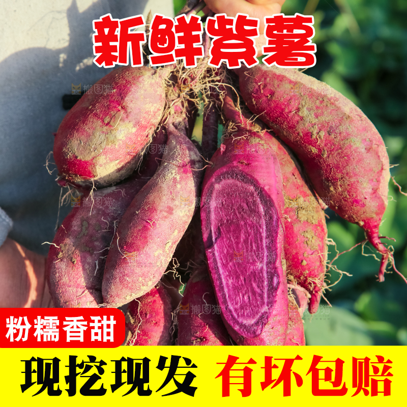 手里拿着一串大紫薯