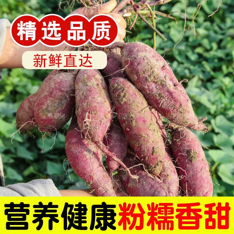 手里拿着一串紫薯