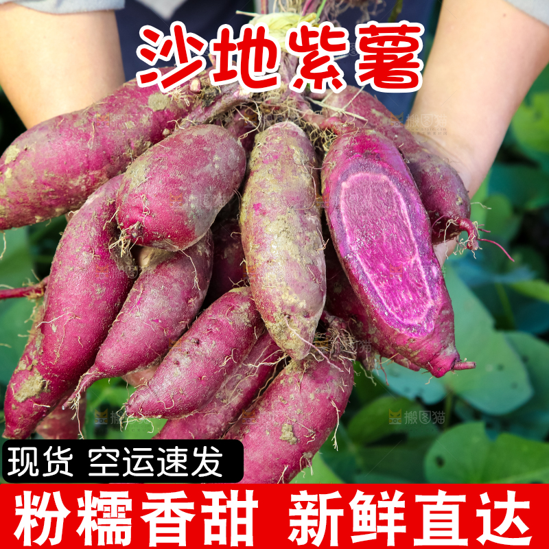 手里拿着一串大紫薯