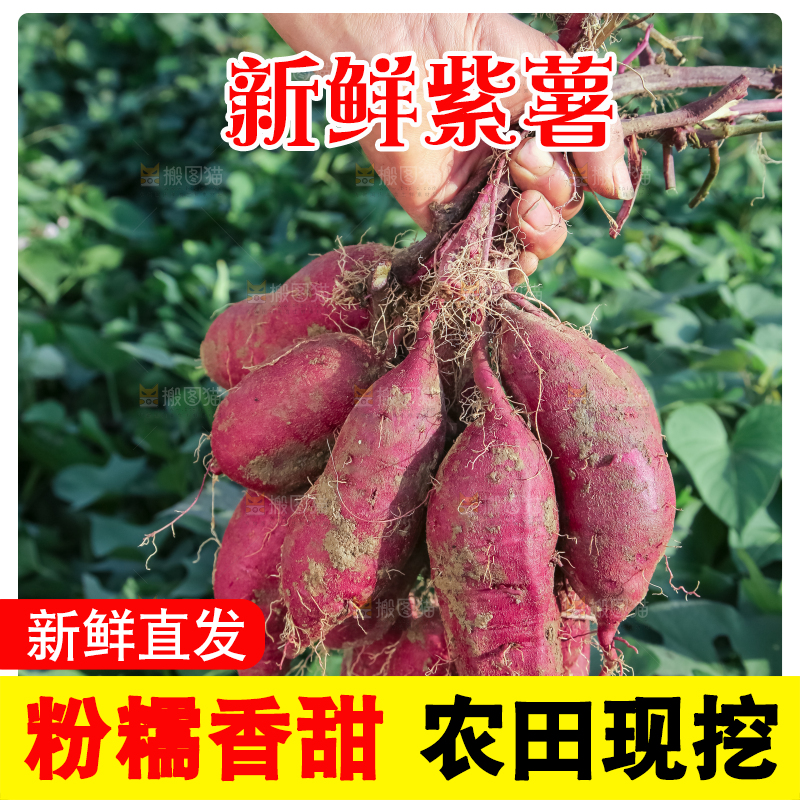 手里拿着一串紫薯