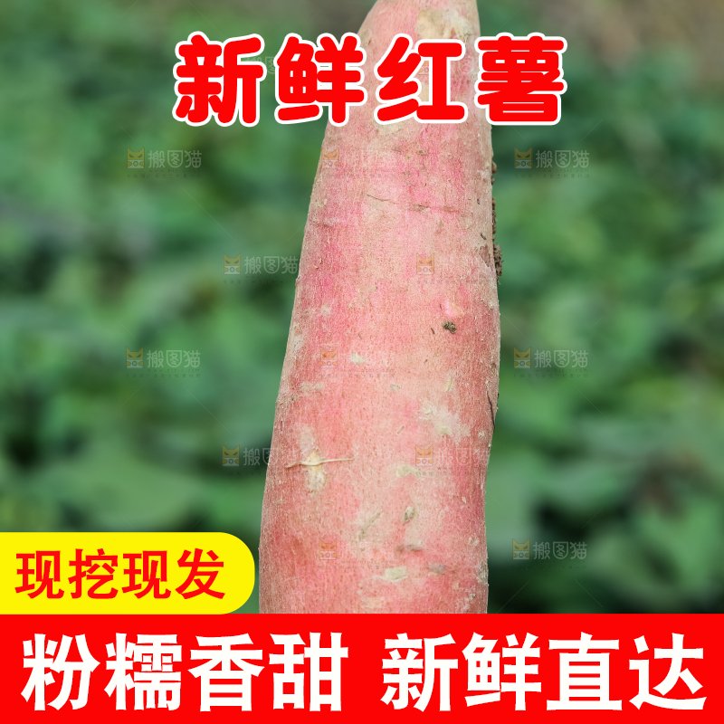 手拿新鲜红薯