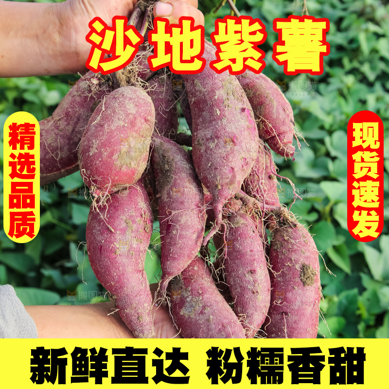 手里拿着一串紫薯