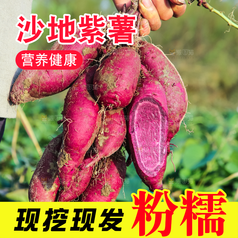 手里拿着一串紫罗兰紫薯