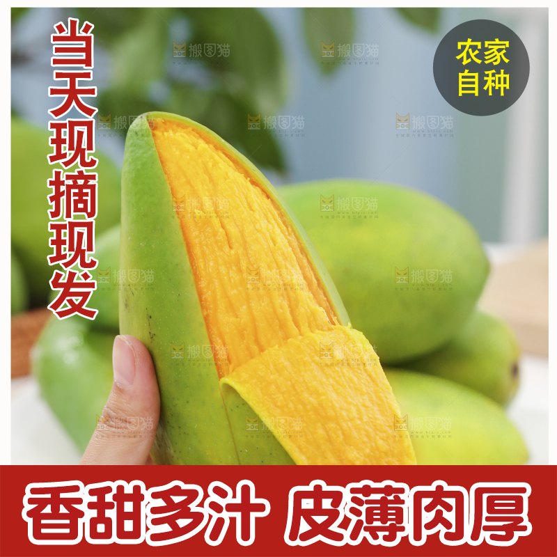 手上拿着剥皮的金煌芒