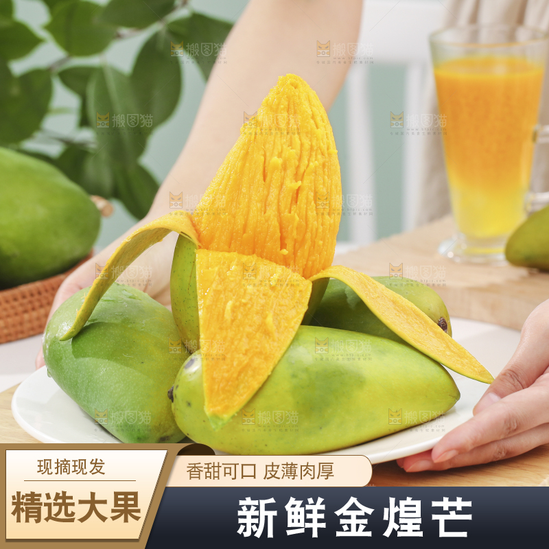 手上端着一盘金煌芒