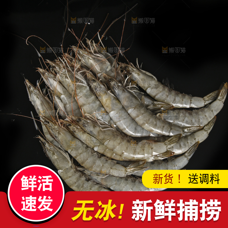 黑底上放着青岛大虾