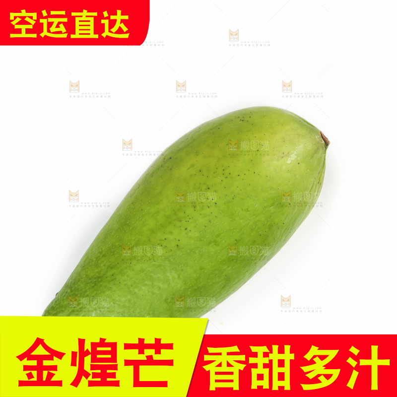 白底上放着水仙芒