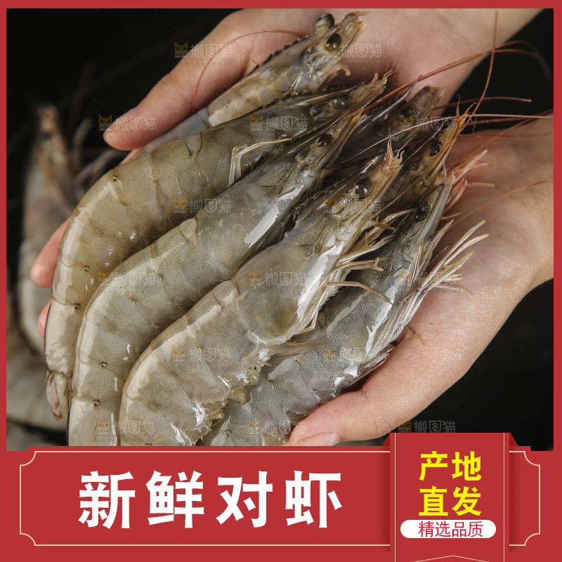 手上拿着南美对虾