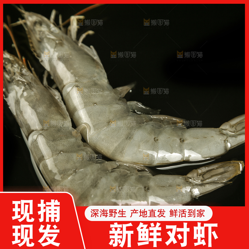 黑底上放着新鲜大虾