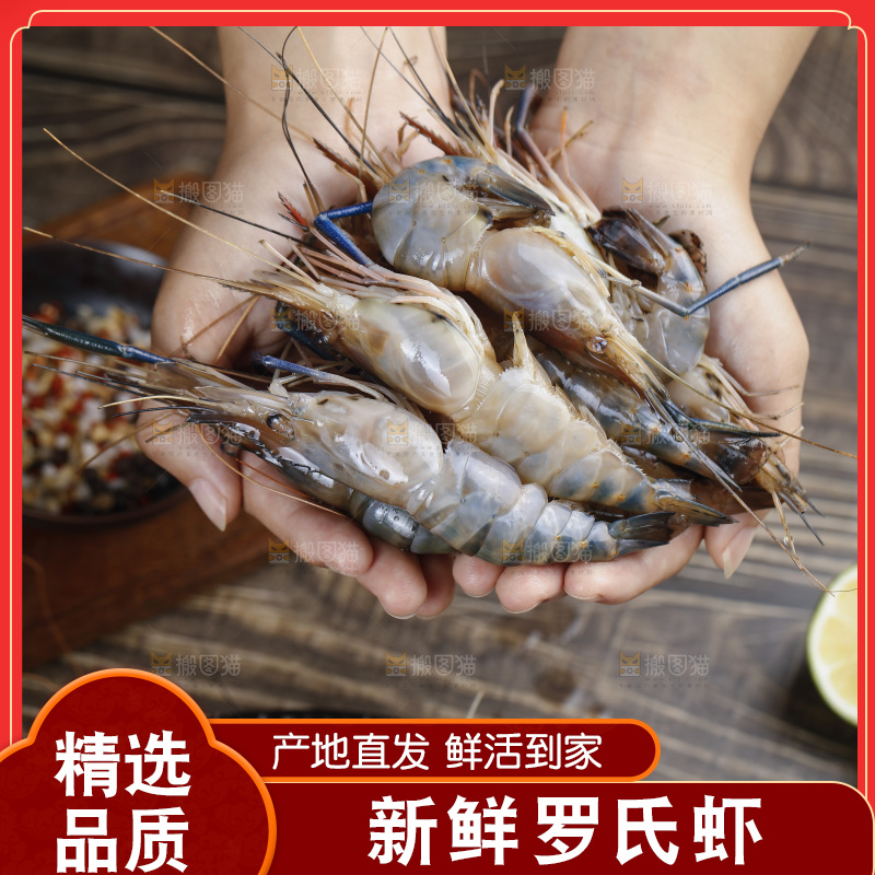手上捧着罗氏沼虾