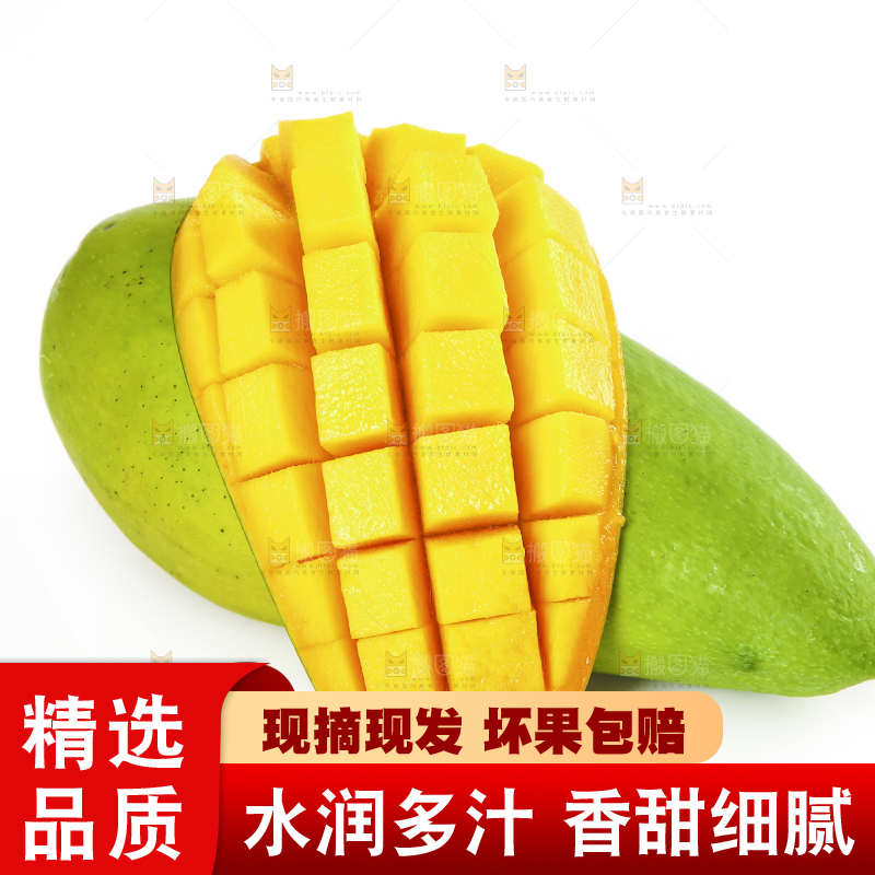 白底上放着水仙芒