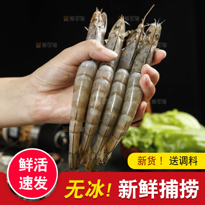 手上拿着南美虾