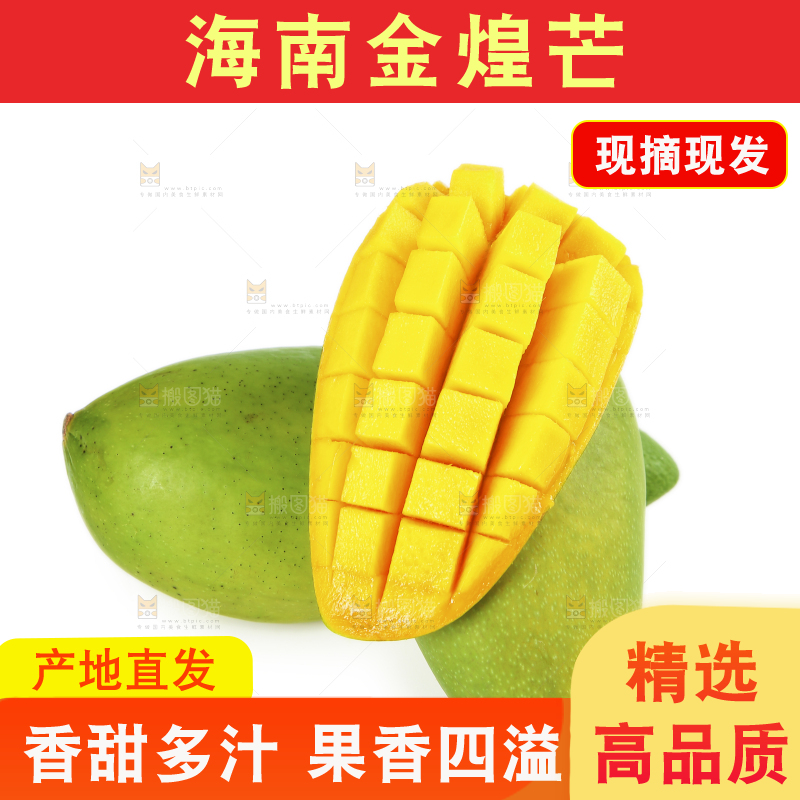 白底上放着水仙芒