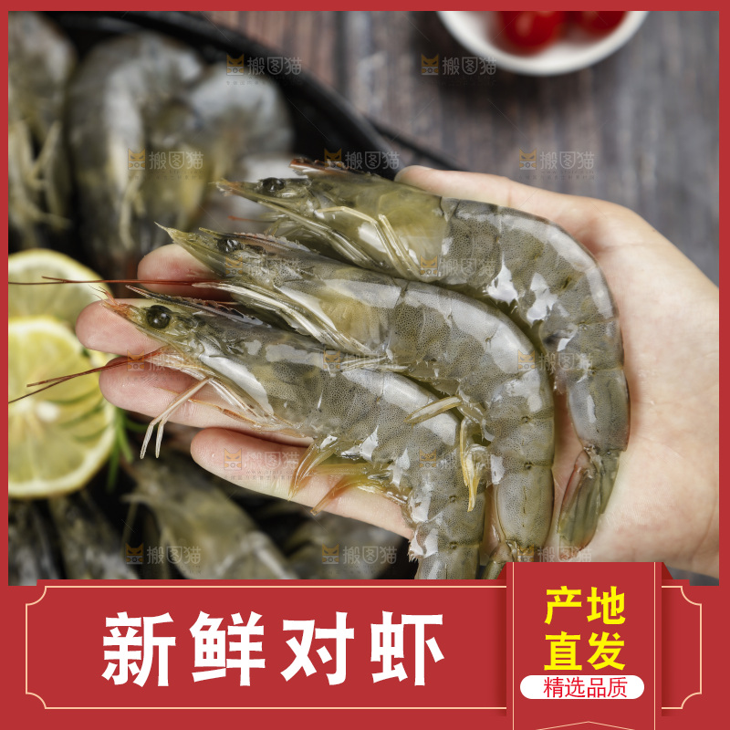 放在手上的对虾