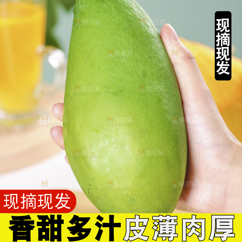 手上拿着金煌芒