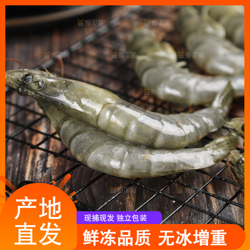 深底上放着新鲜对虾