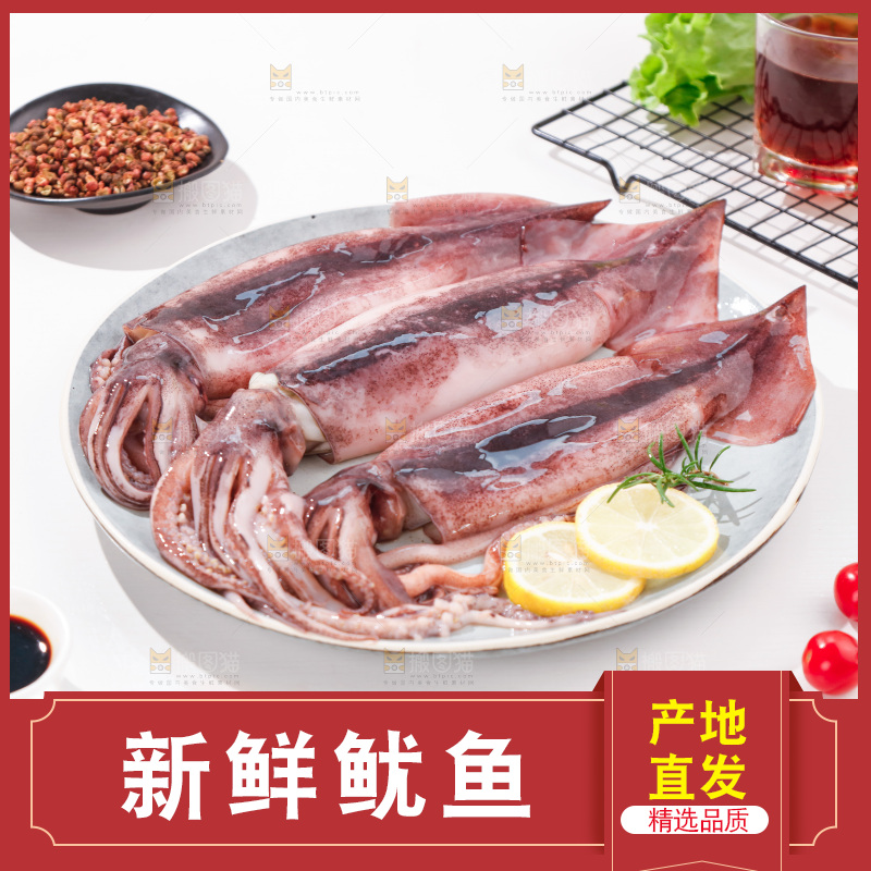 白底上放着一盘鱿鱼