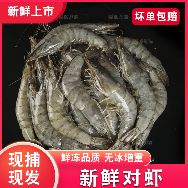 黑底上放着青岛大虾