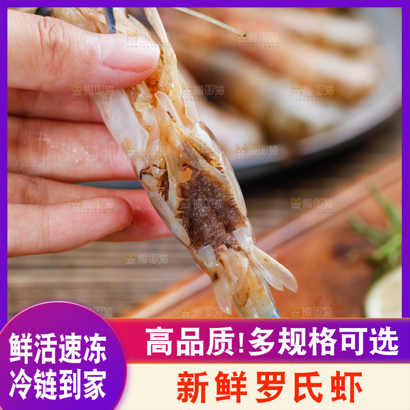 手拿着罗氏虾