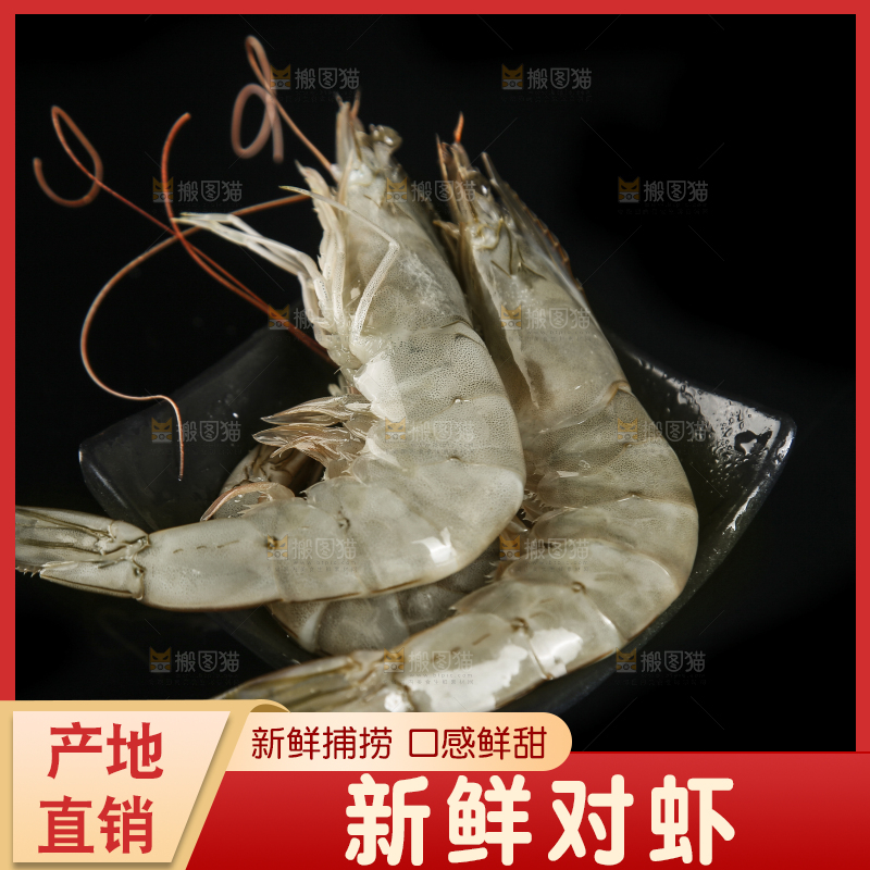 黑底上放着大虾