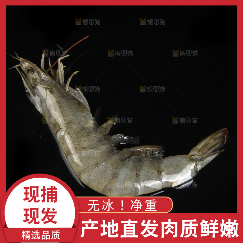 黑底上放着新鲜大虾