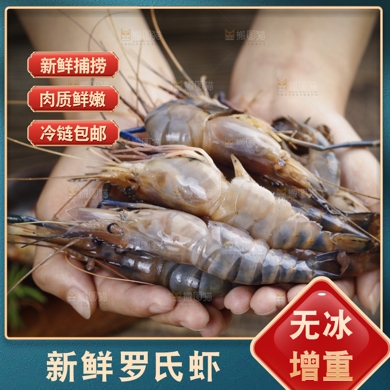 手上捧着罗氏沼虾