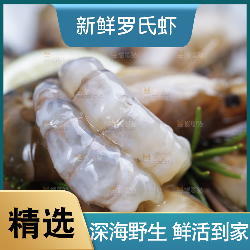 深底上放着新鲜的罗氏沼虾